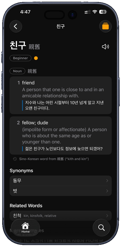 Dictionary entry view